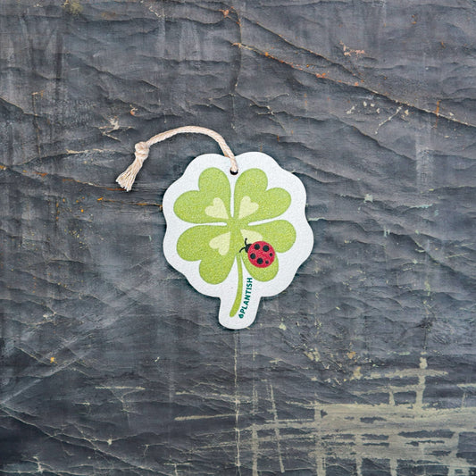 Lucky Spot - Pop Up Sponge-0