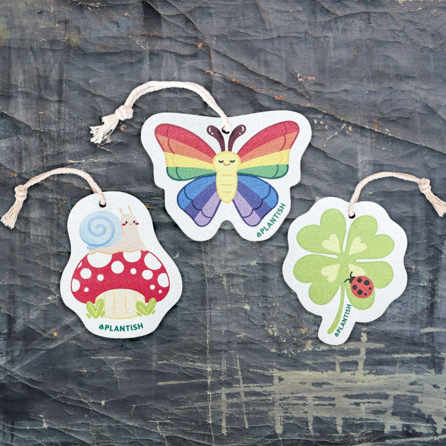 Lucky Spot - Pop Up Sponge-1